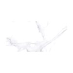 Faianță Premier Carrara Grey, 30 x 60 cm