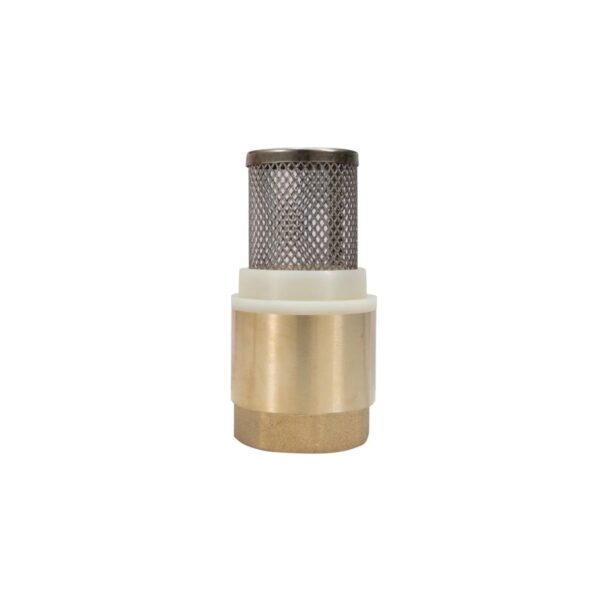 Supapă sorb cu sită Gobe, 1 inch (1") - imagine 1