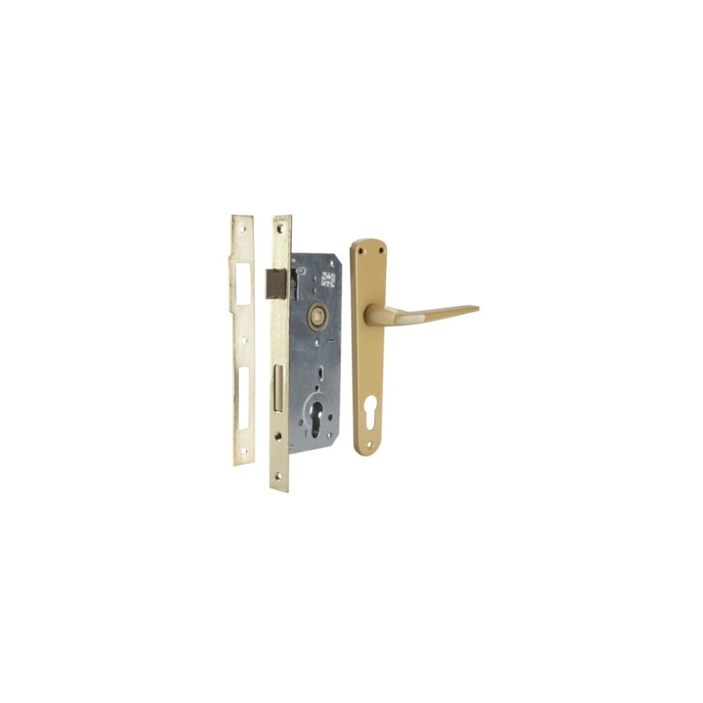 Broască cu cilindru și șilduri vopsite Evotools HGT681562, aurie - imagine 1