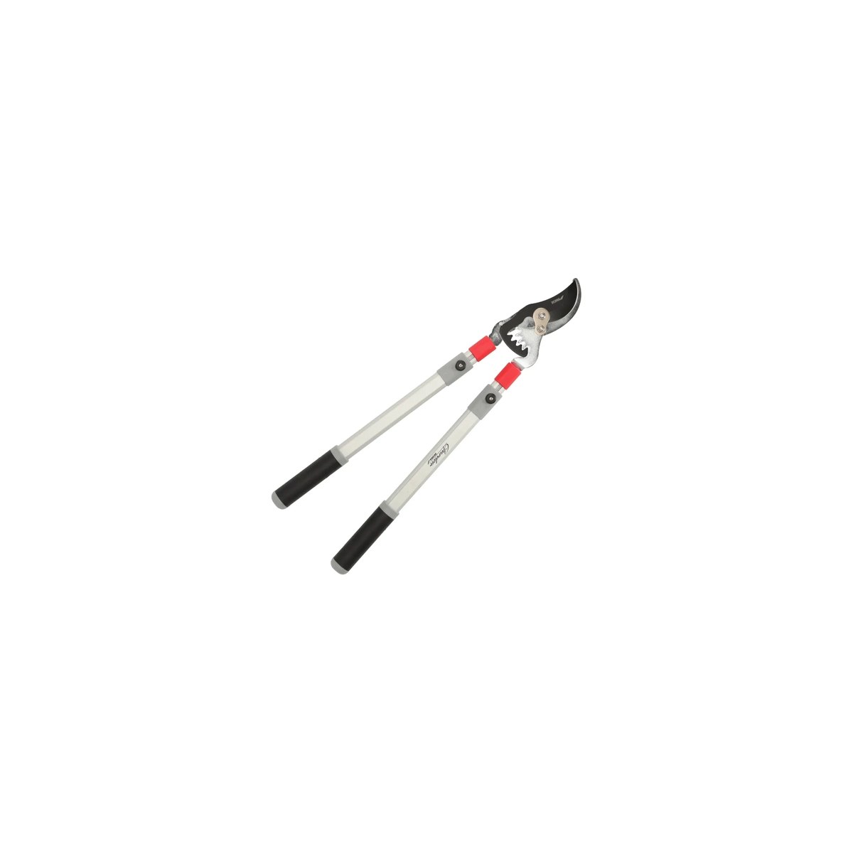 Foarfeca de crengi Dedra 80A022, cu mânere telescopice - imagine 1