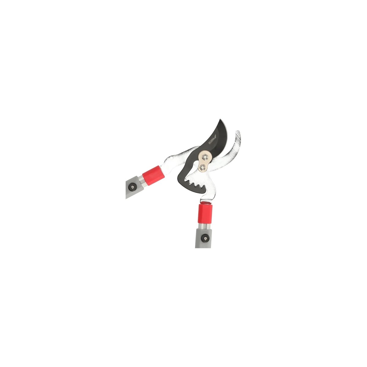 Foarfeca de crengi Dedra 80A022, cu mânere telescopice - imagine 2